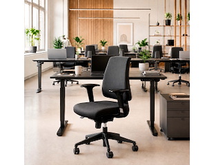 Kontorstol Canadian Ergo CE Base